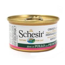 寵物食品銷售 趨勢、機遇與品牌制勝之道